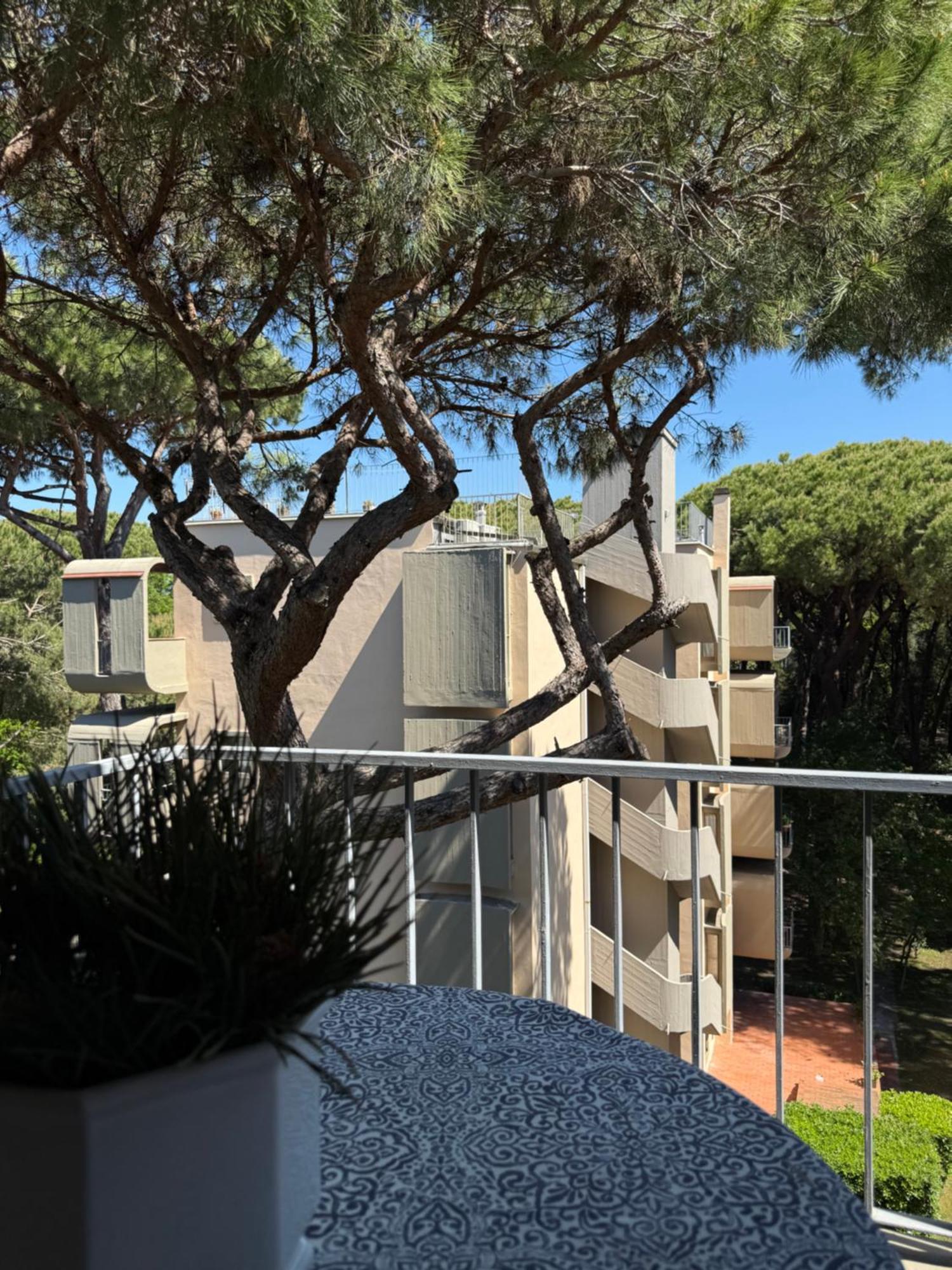 La Terrazza Del Pino Apartment Torre del Lago Puccini Exterior photo